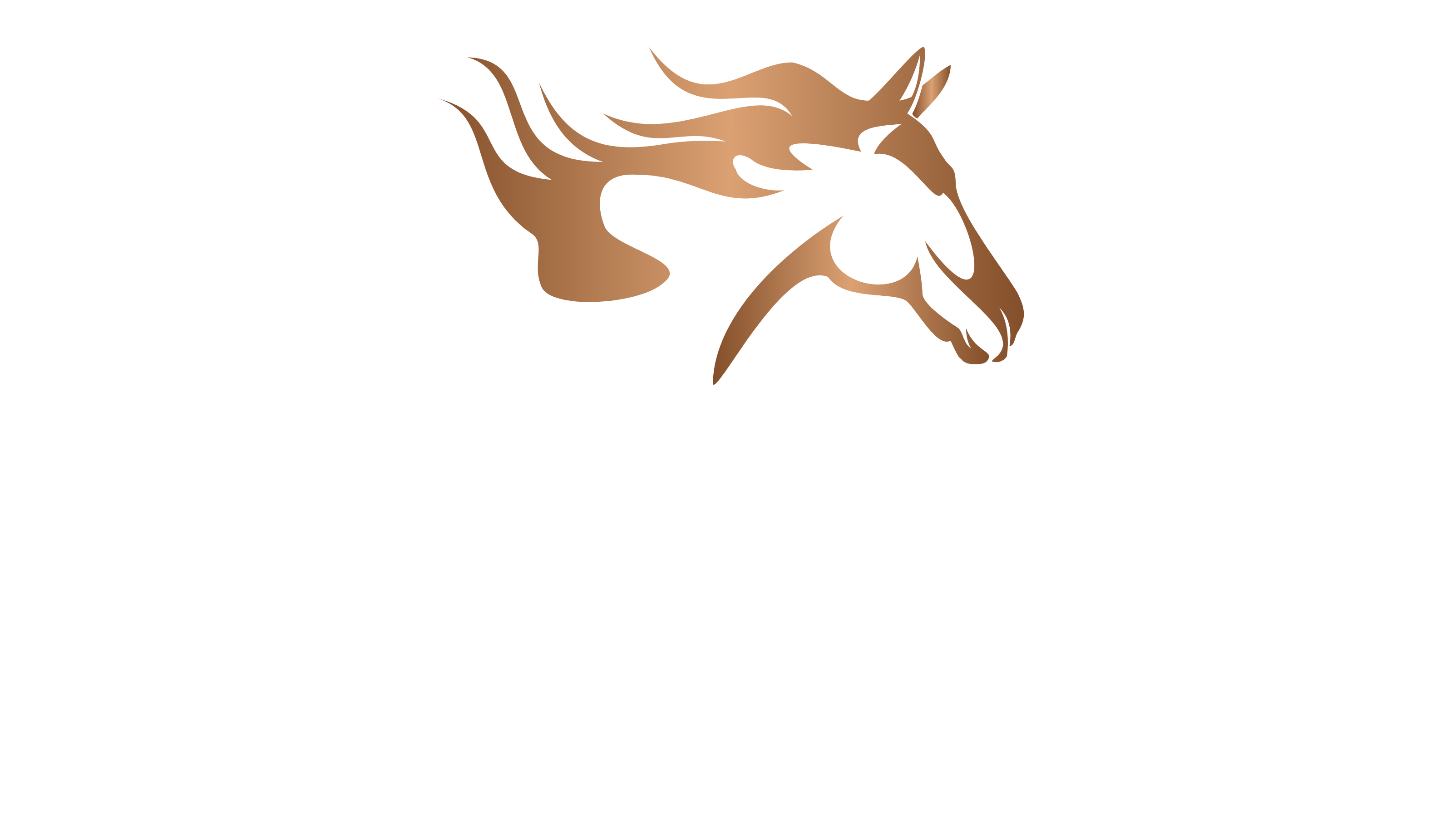 Stone Equine — Kristi Stone, DVM, CVMA